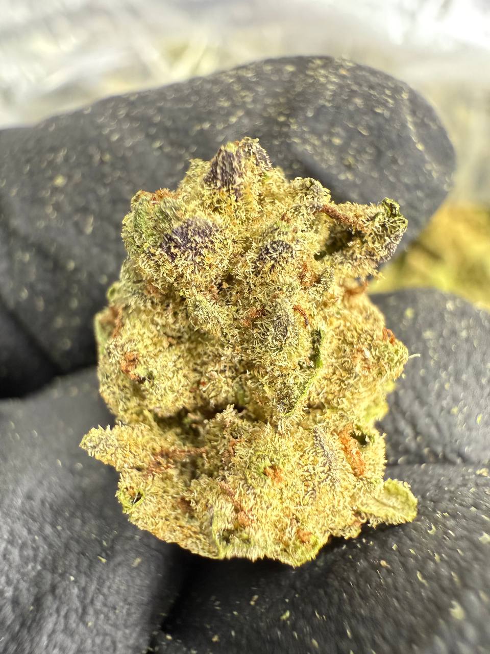 Gelato 41 - Gold Nuggets - THCa Flower TOP SHELF SMALLS