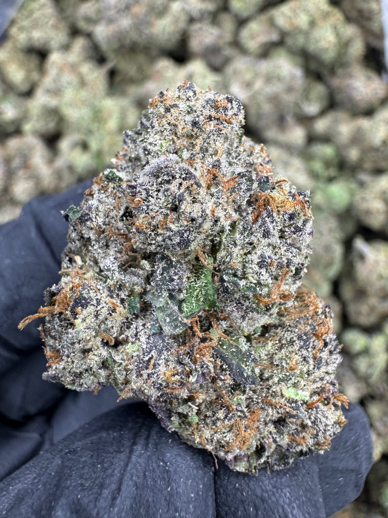 Gelato 47 - THCA BULK FLOWER -  AAA INDOOR
