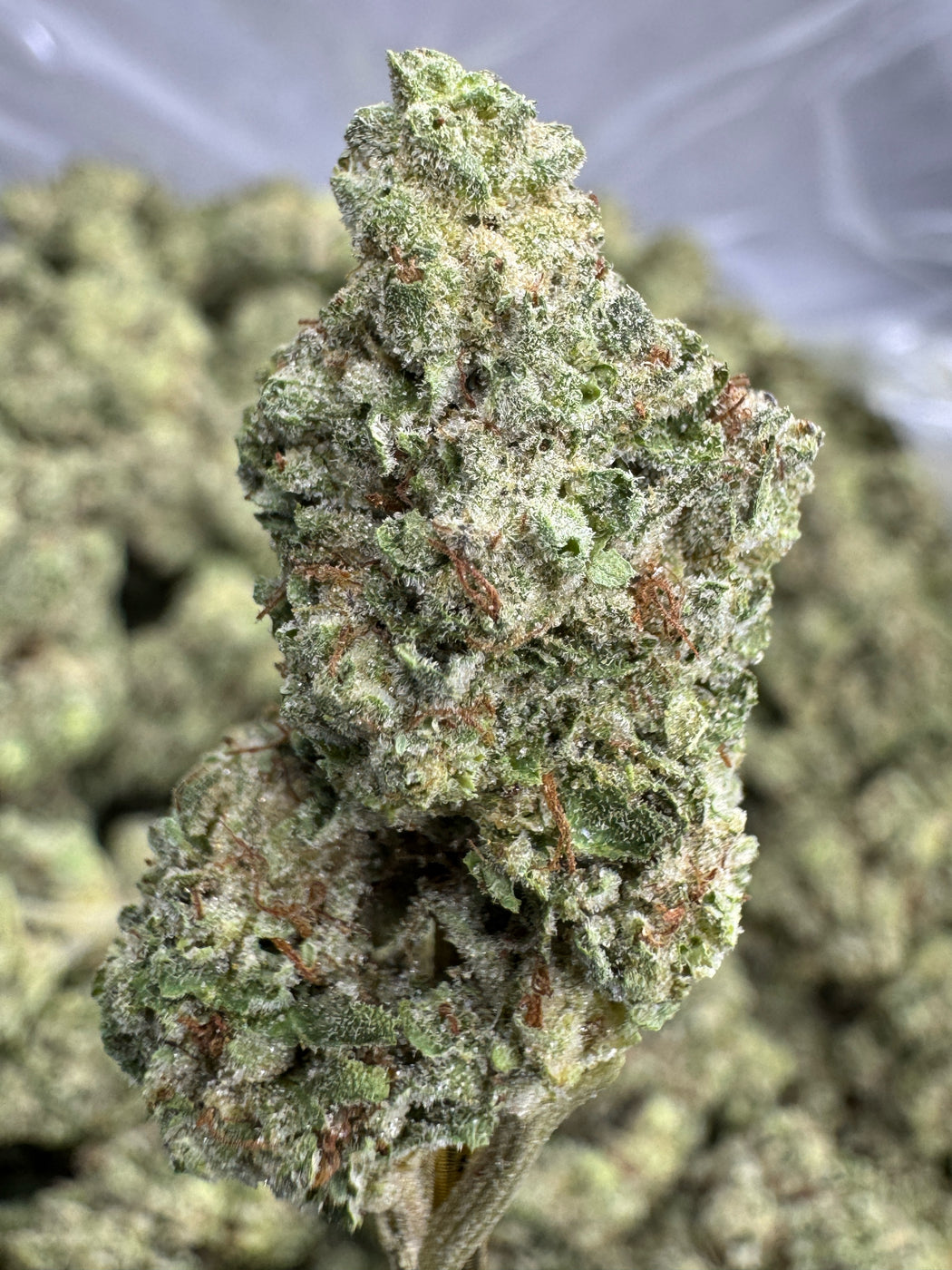 Gelatti Cake - THCA BULK FLOWER - TOP SHELF