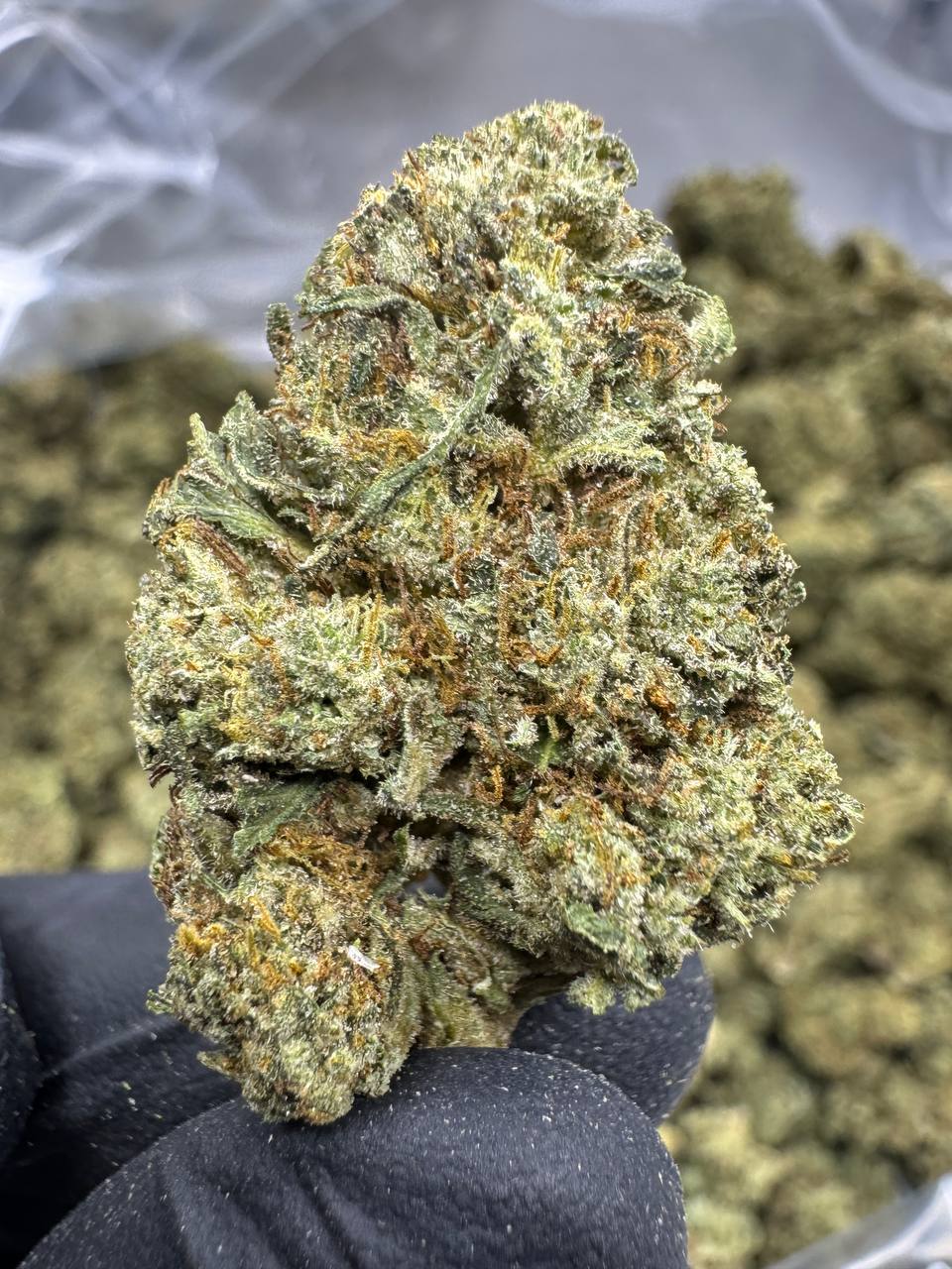 Gello Shotz - THCA BULK Flower - Greenhouse Mediums