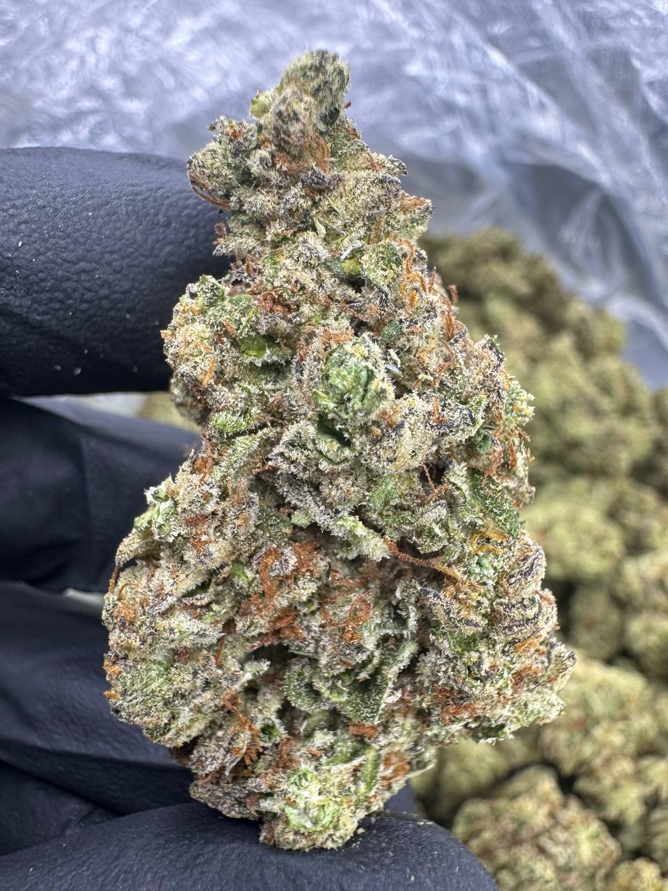 Gelonade - THCA BULK FLOWER - AAA