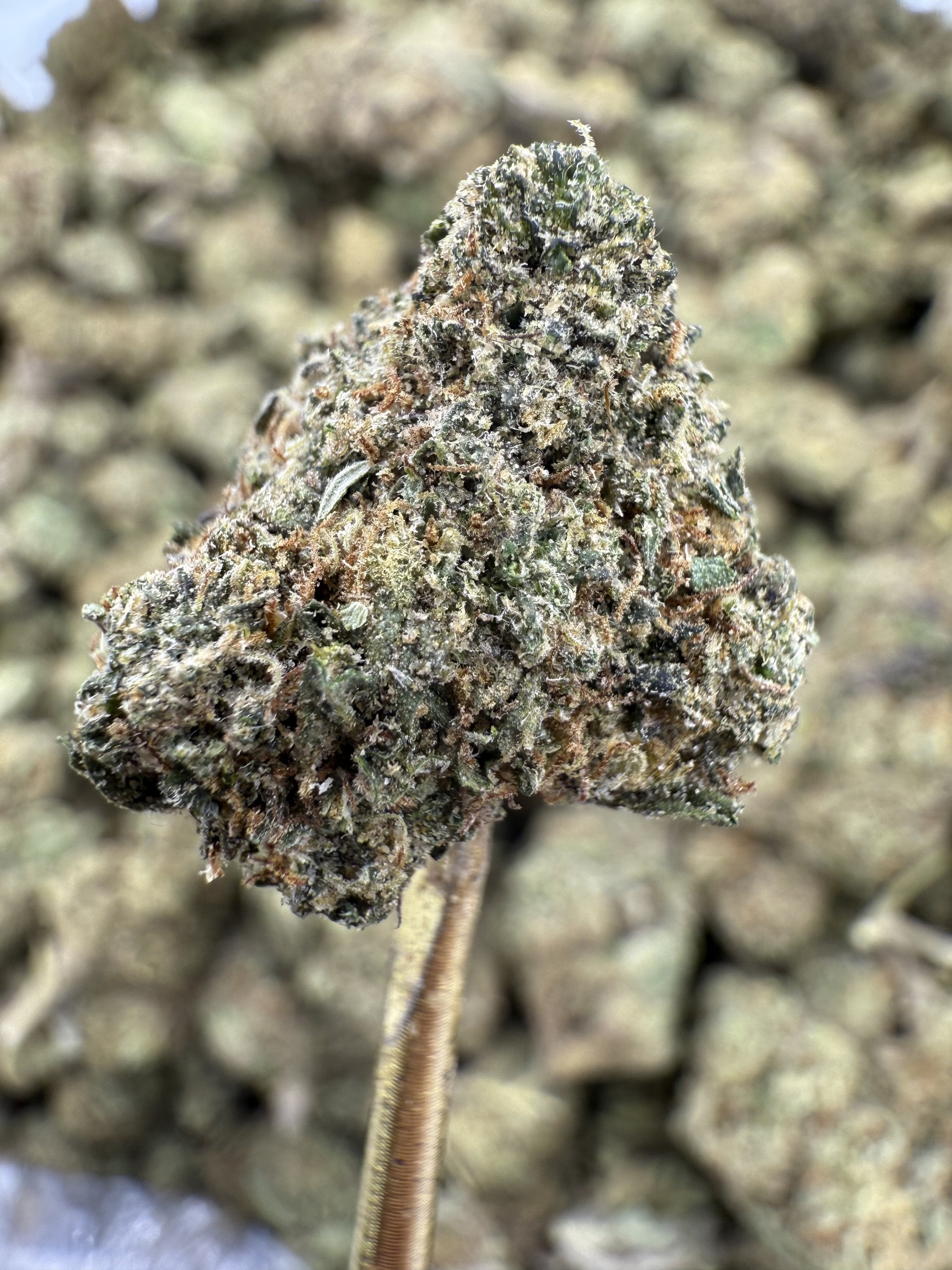 Gelonade - THCA Flower - Greenhouse Gold Nuggets