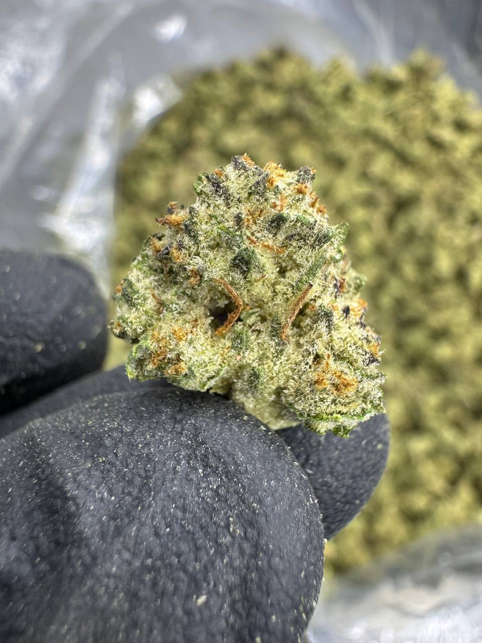 Gelonade - THCA BULK FLOWER - TOP SHELF SMALLS