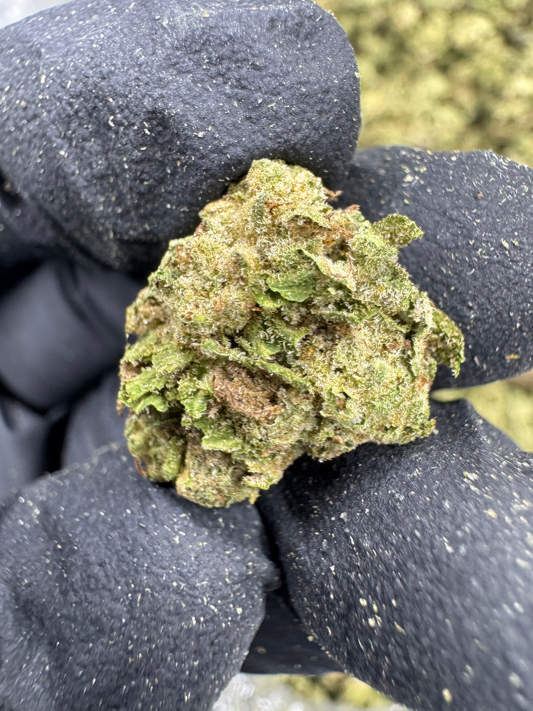 Georgia Pie - Gold Nuggets - THCa Flower TOP SHELF SMALLS