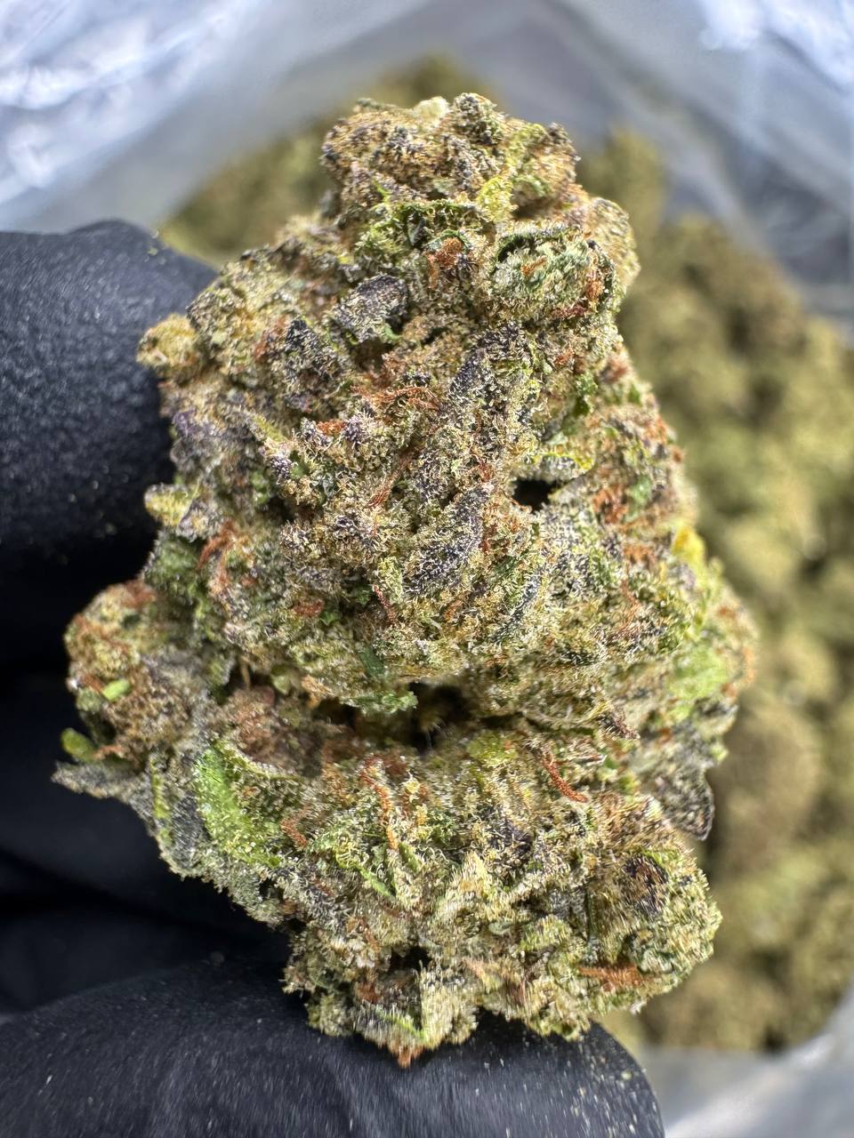 Georgia Pie - THCA BULK FLOWER - CLASSIC RESERVE