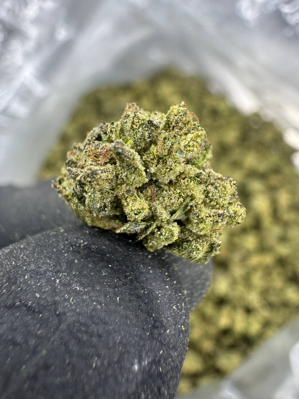Georgia Pie - THCA Flower - Greenhouse Gold Nuggets