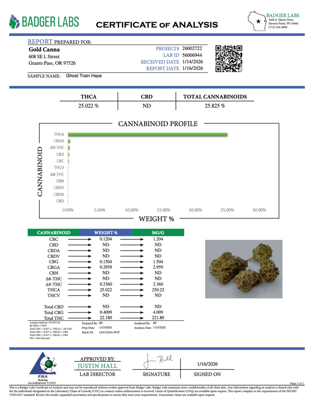 Ghost Train Haze - 1g - THCA BULK Prerolls