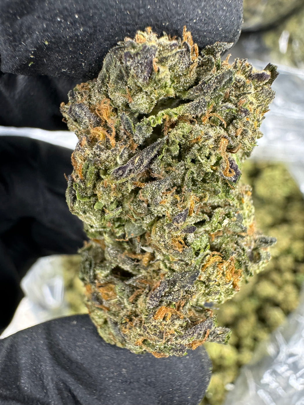 Girl Scout Cookies - THCA BULK FLOWER - CLASSIC RESERVE