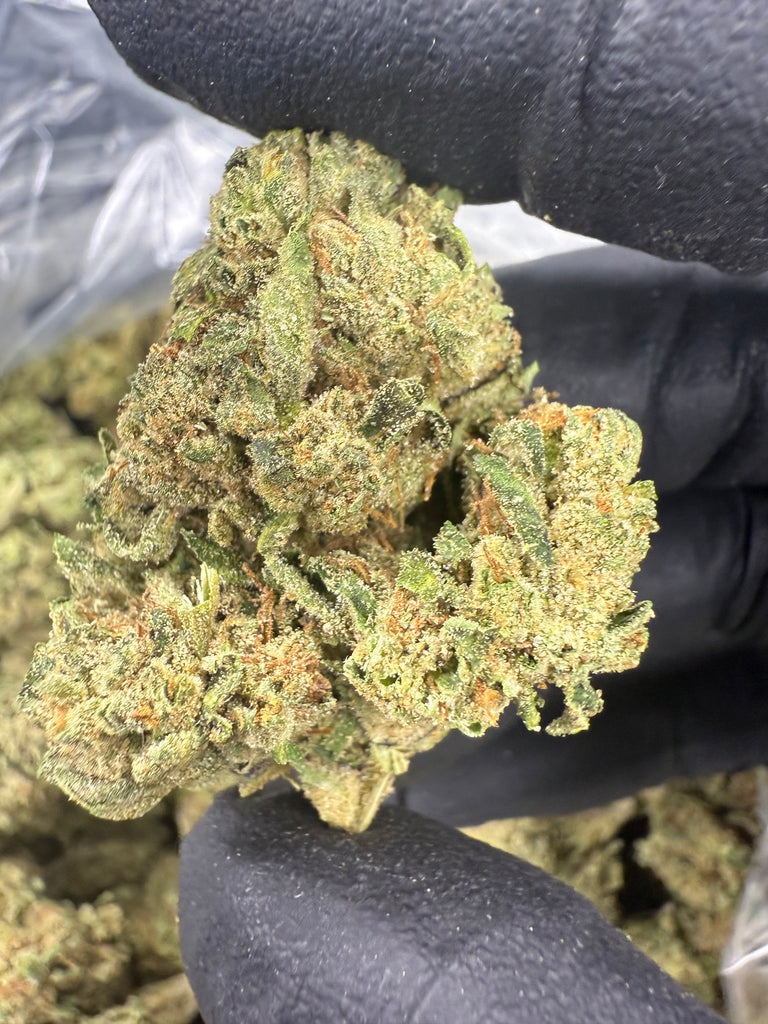 Girl Scout Cookies - THCA BULK FLOWER - TOP SHELF