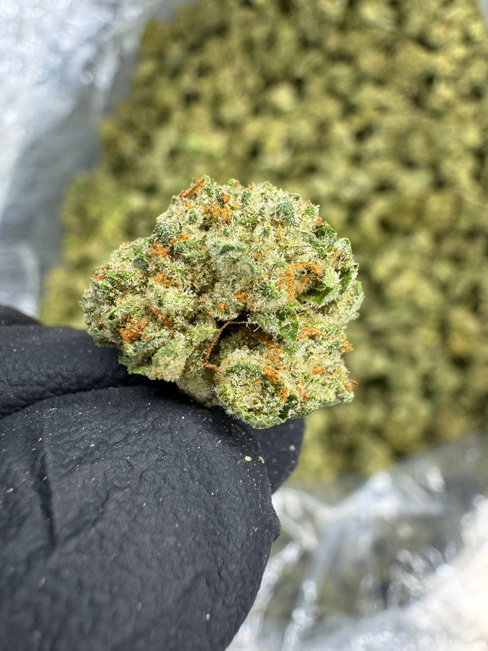 Glitter Bomb - Gold Nuggets - THCa Flower TOP SHELF SMALLS