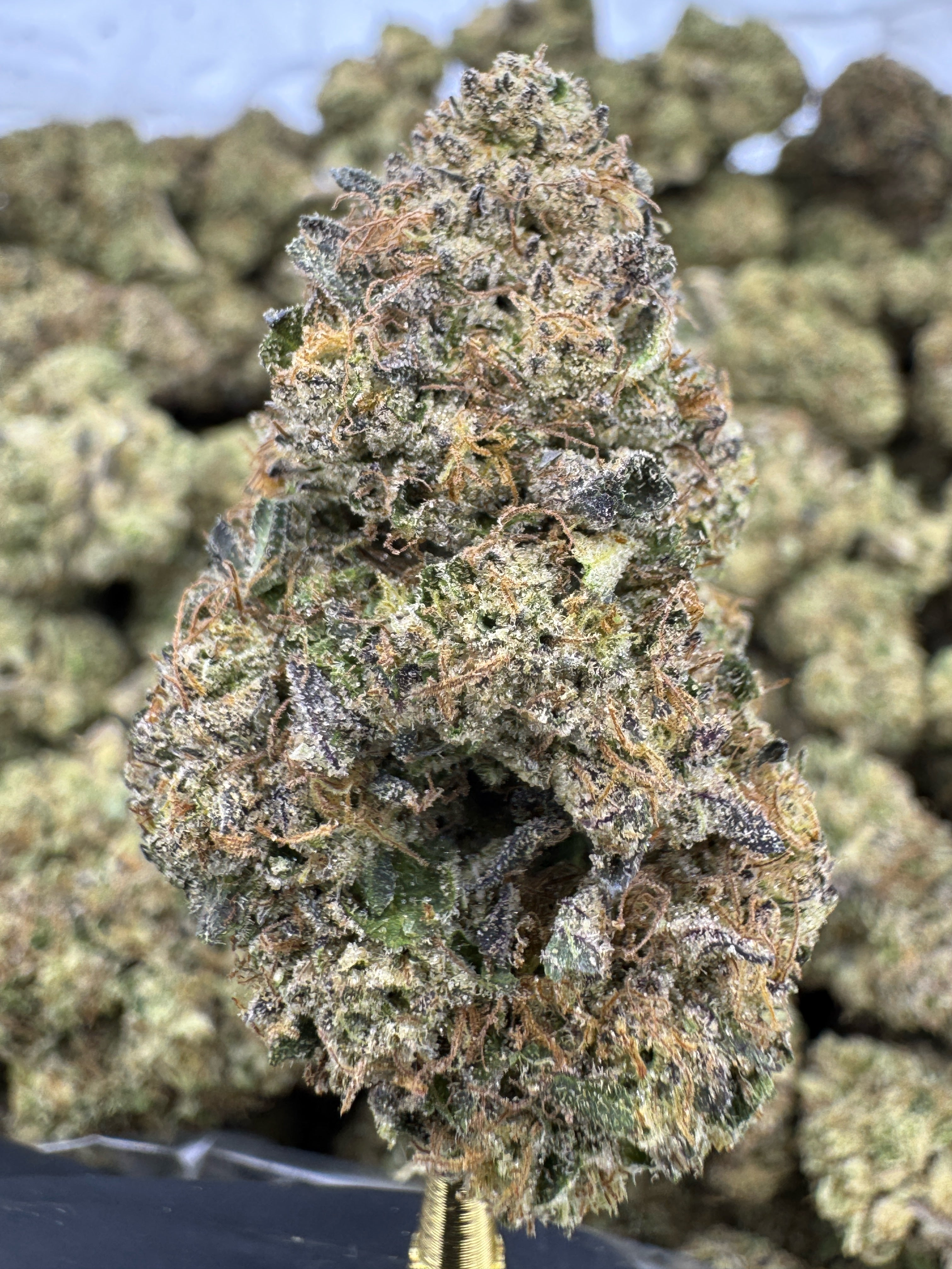 Glitterbomb - THCA BULK Flower - Indoor