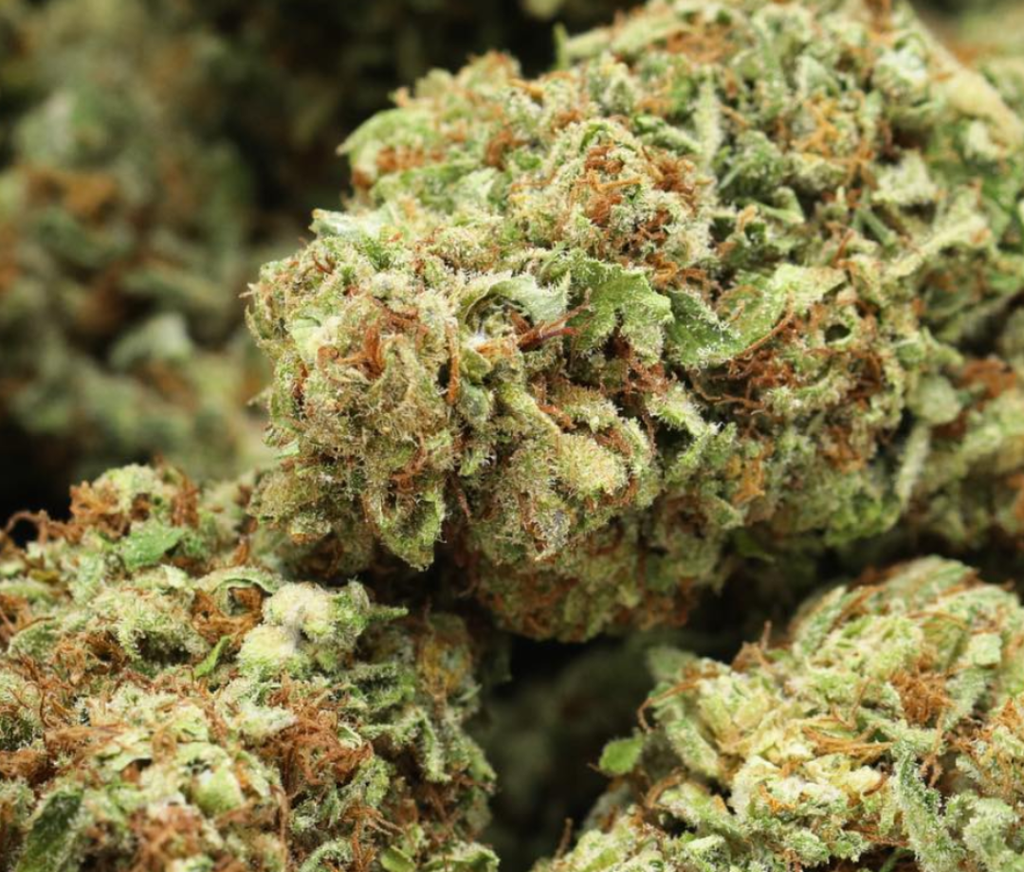 Gold CBD’s Animal Face - THCA - Top Shelf