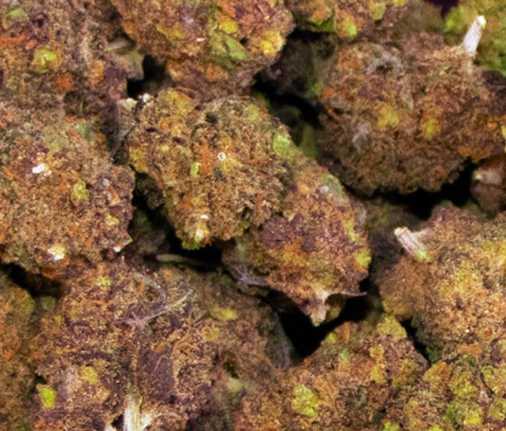 Gold CBD’s Best Buds