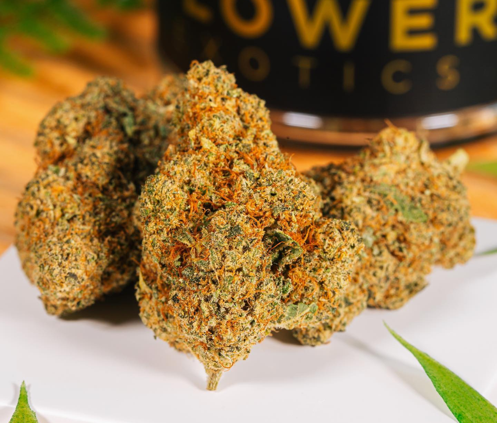 Gold CBD’s Premium Bulk THCA Flower