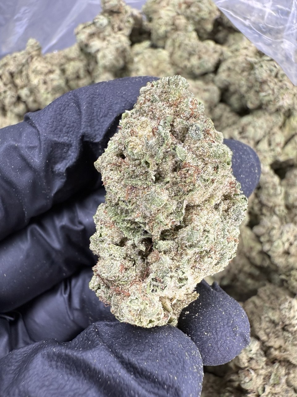 Gorilla Glue - THCA BULK Flower - Indoor
