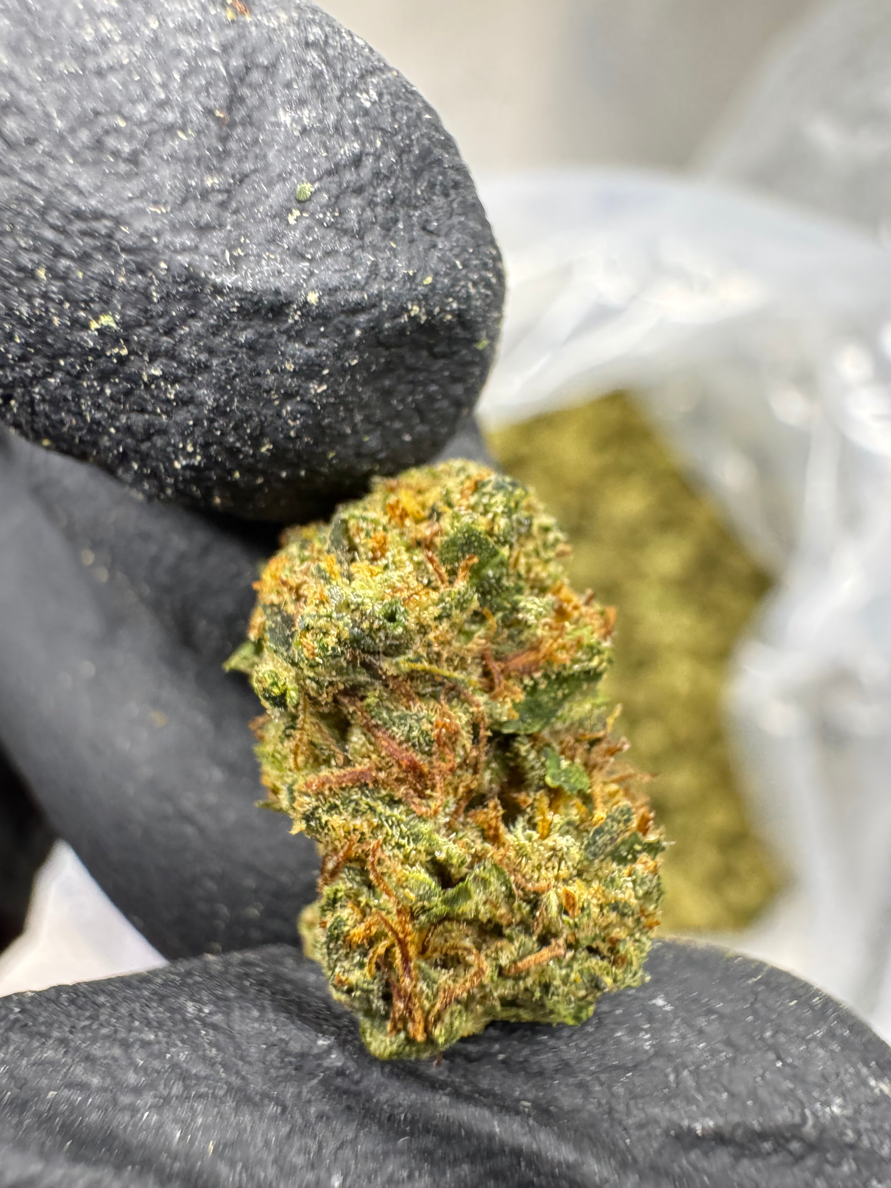 Gorilla Glue - THCA BULK Flower - Greenhouse Smalls