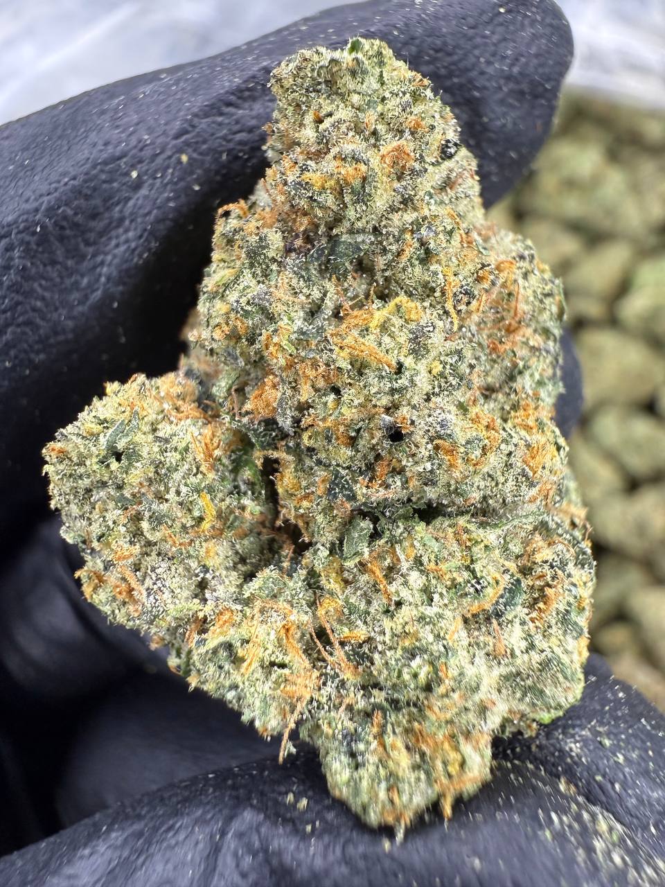 Granddaddy Purple - THCA BULK Flower - Indoor