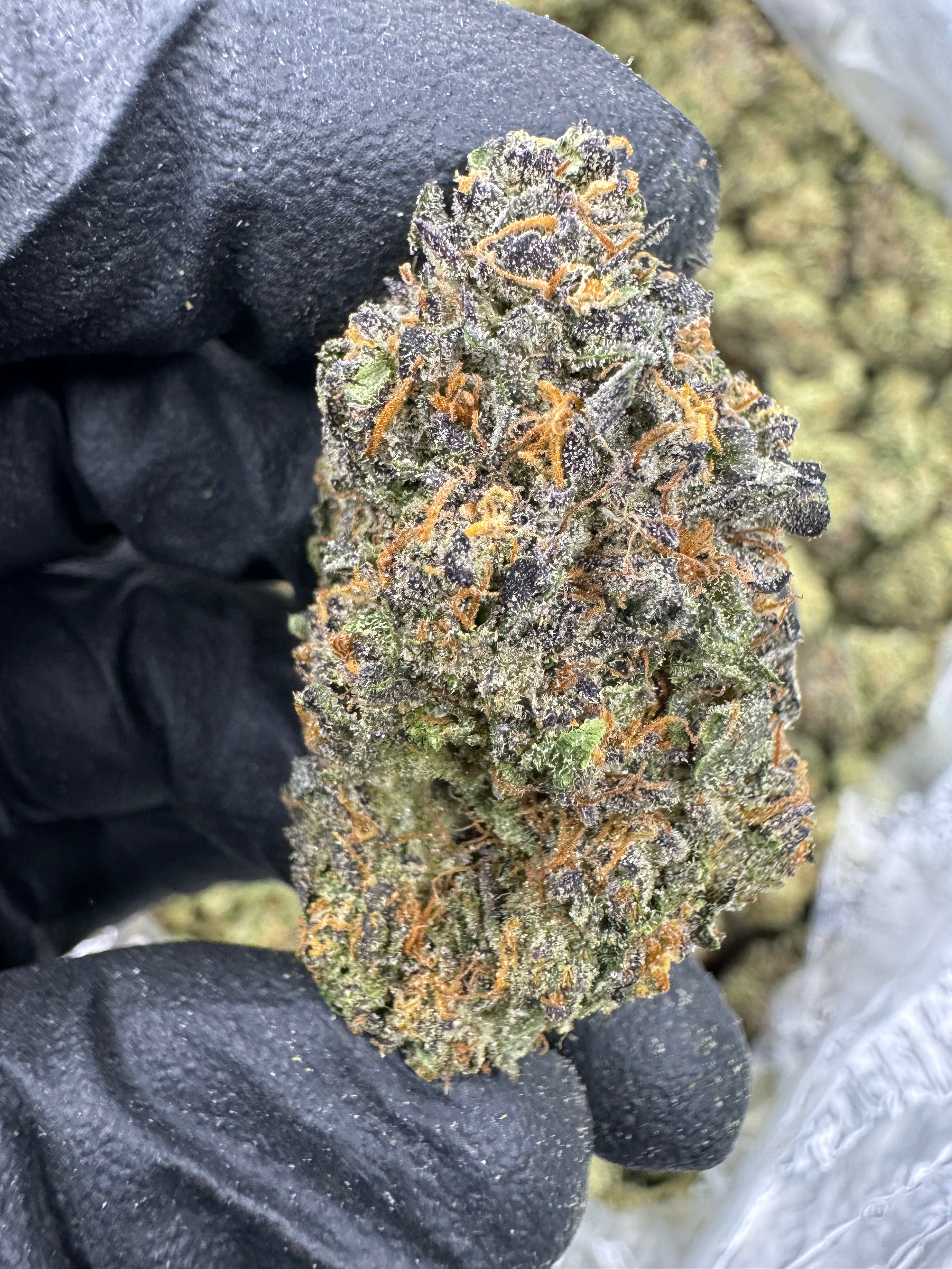 Grape Nerds - THCA Flower - Indoor Top Cut