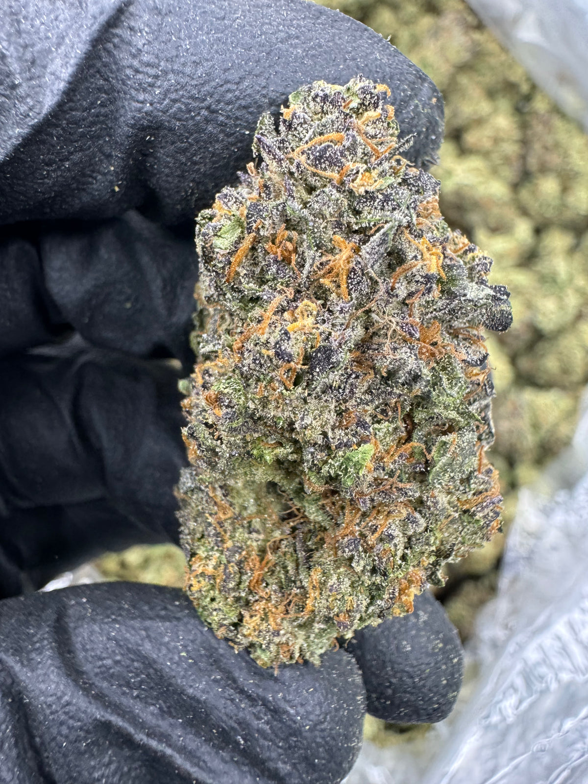 Grape Nerds - THCA Flower - Indoor Top Cut