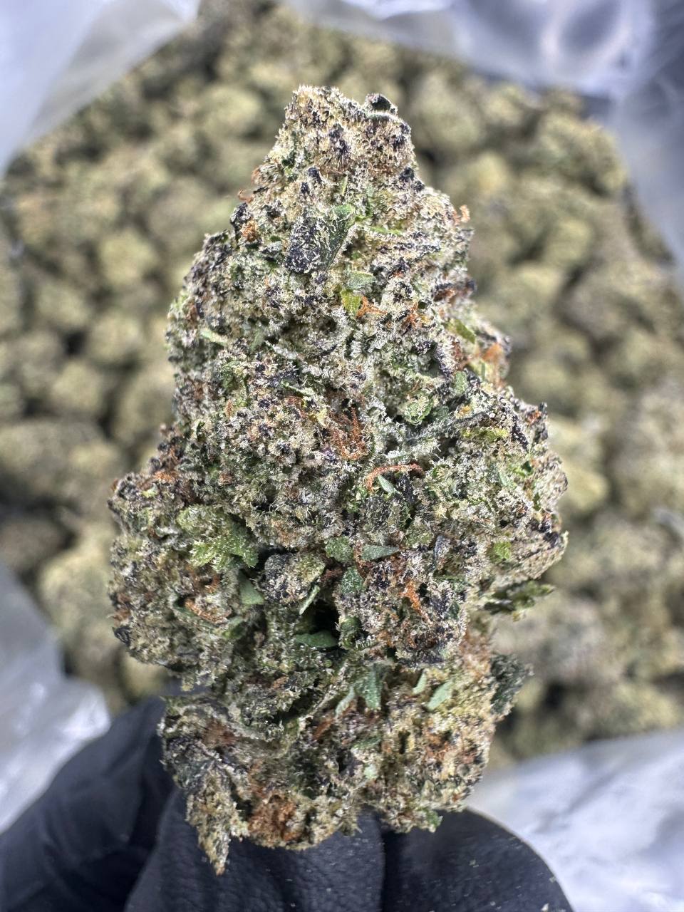 Grape Gas - THCA Flower - Greenhouse Top Cut