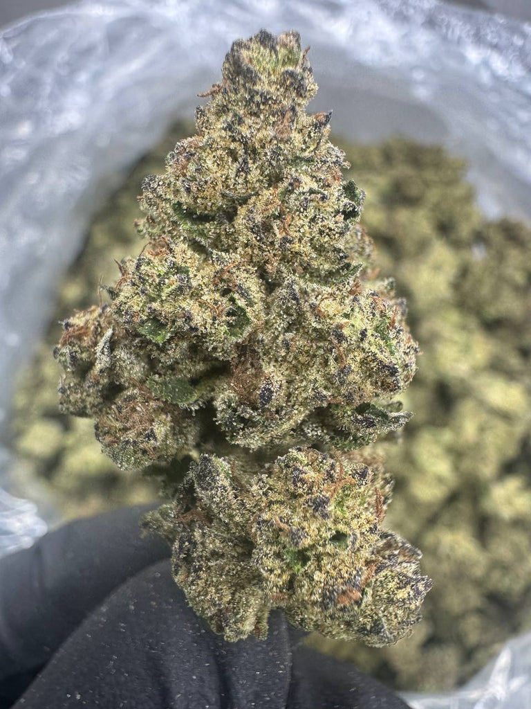 Grape Gas - THCA BULK FLOWER - AAA