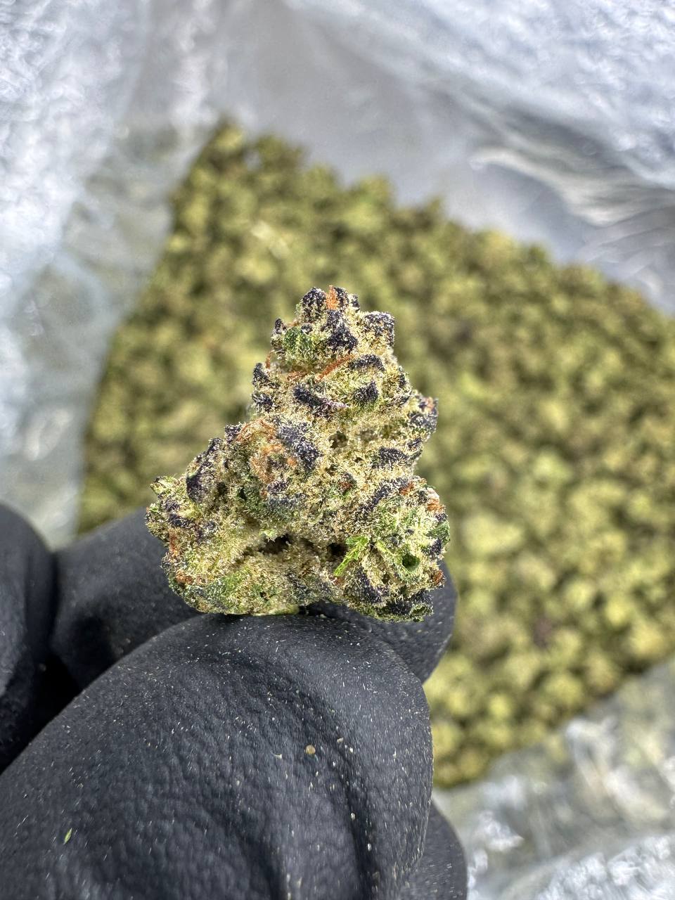 Grape Gas - THCA BULK Flower - Indoor Smalls