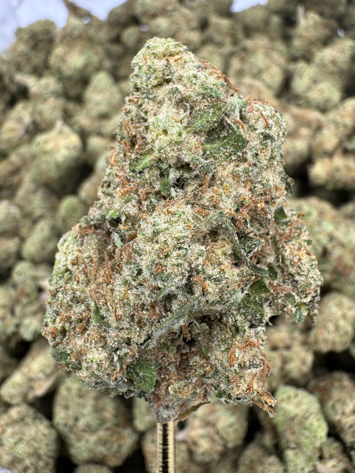 Grape Gas - THCA BULK Flower - Indoor