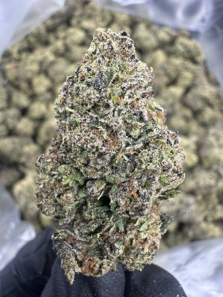 Grape Gas - THCA BULK FLOWER - TOP SHELF