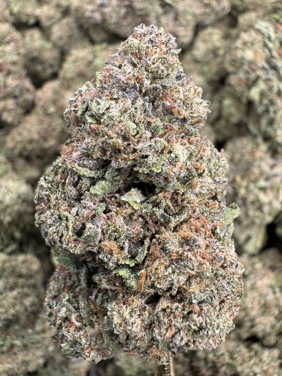 Grease Monkey - THCA BULK FLOWER - CLASSIC RESERVE