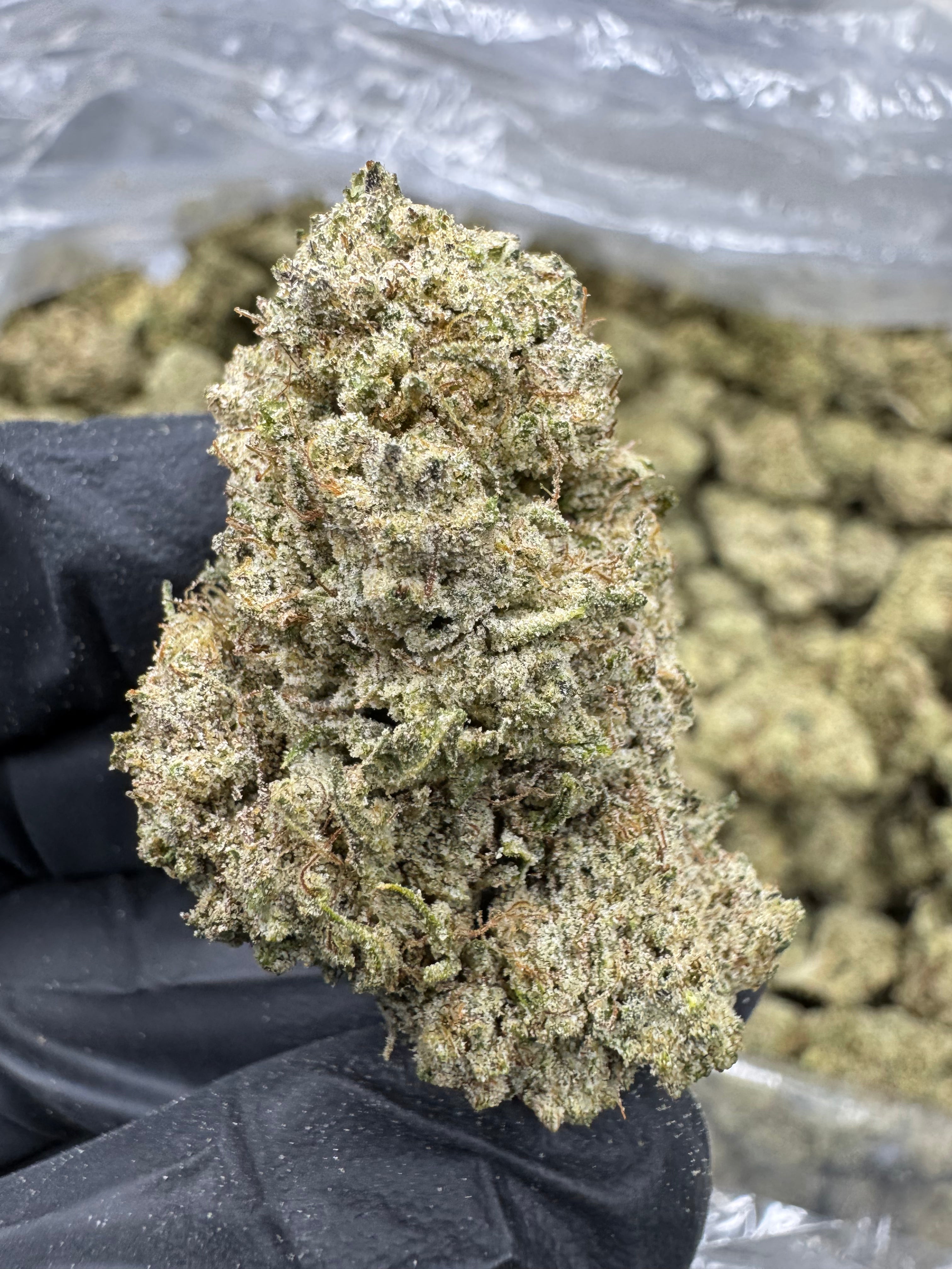 Green Crack - THCP BULK Flower - Sungrown