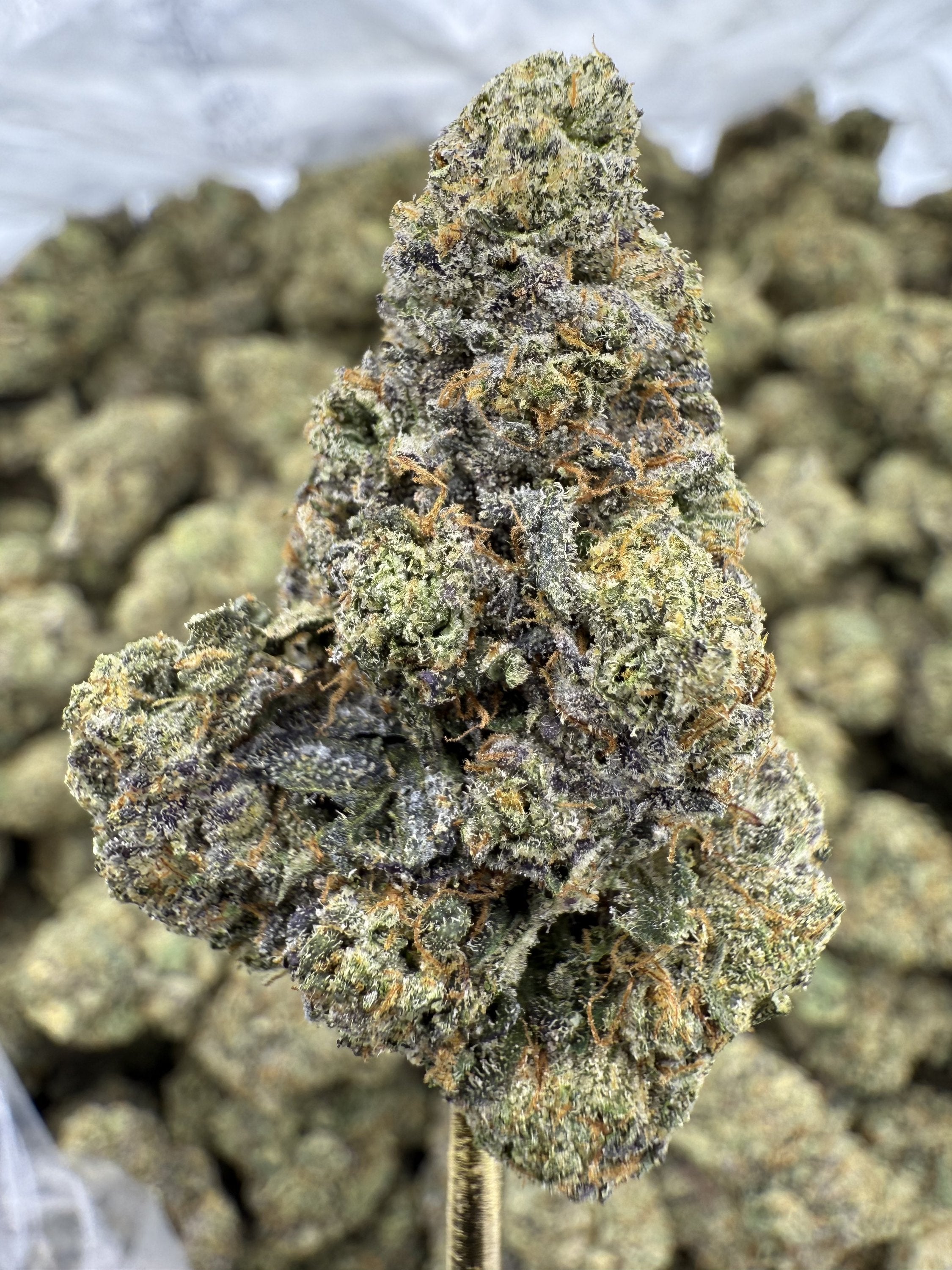 Griz - THCA BULK Flower - Indoor