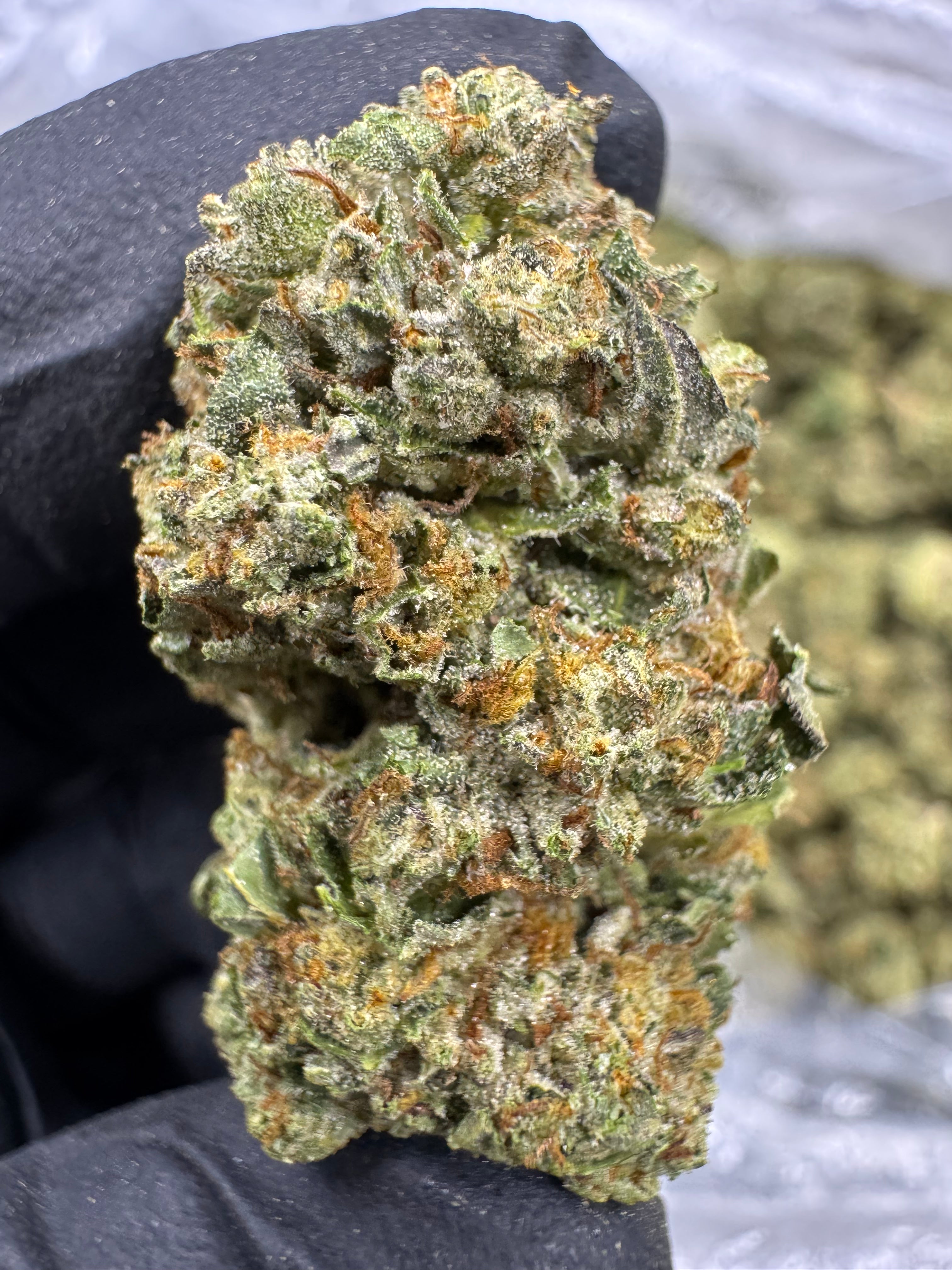 Guava Gelato - THCA BULK Flower - Greenhouse Top Cut