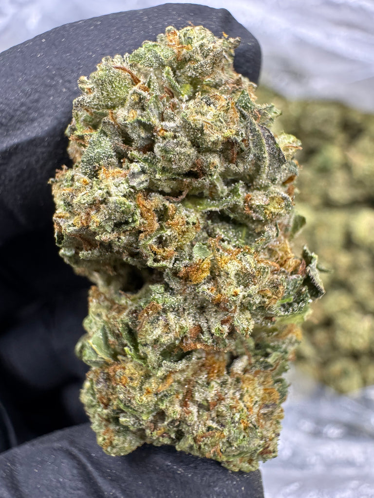 Guava Gelato- THCA BULK FLOWER - TOP SHELF