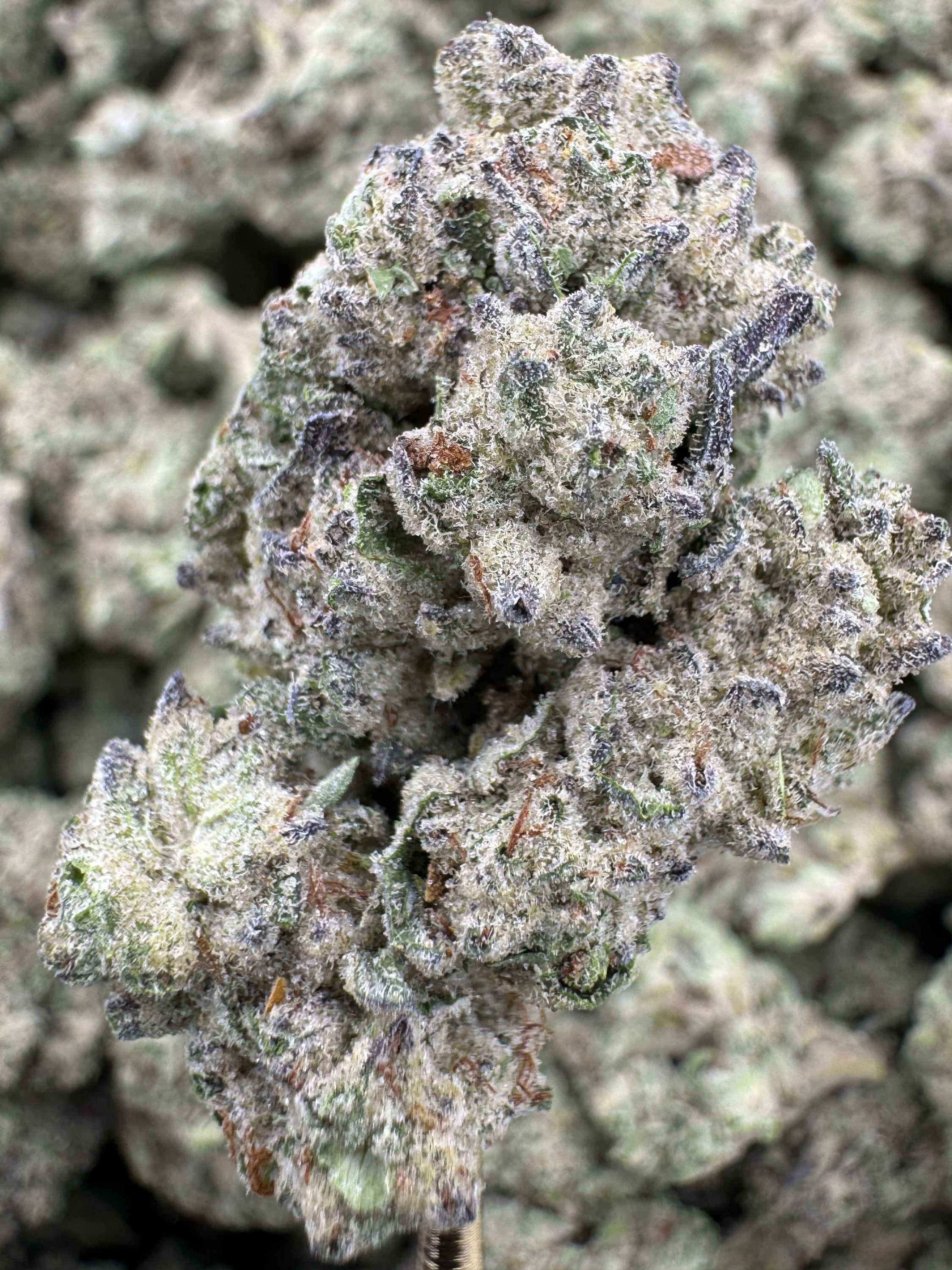 Guava Gas - THCA Flower - Greenhouse Top Cut