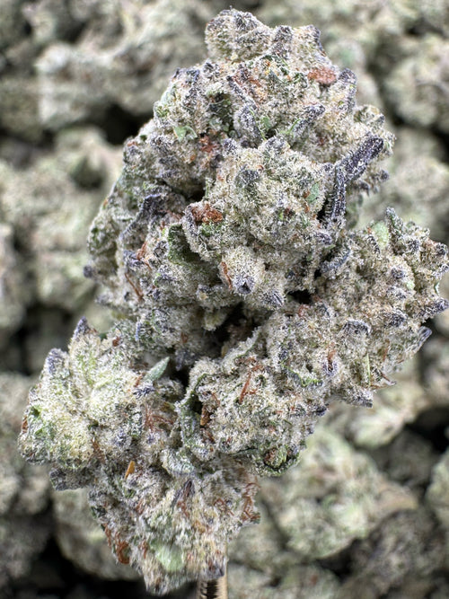 Guava Gas