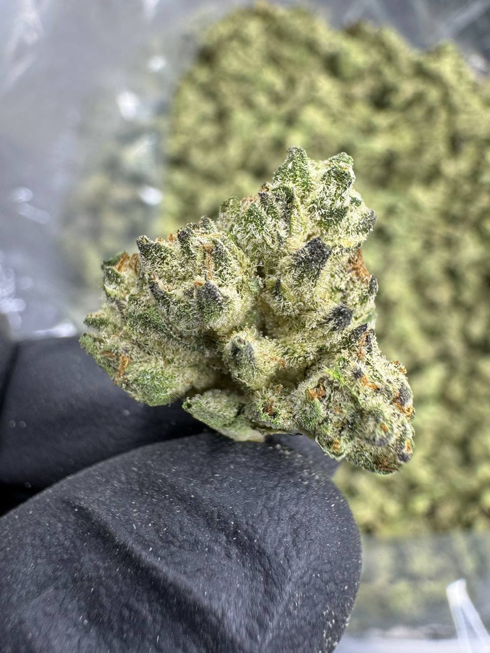 Guava Gas - Gold Nuggets - THCa Flower TOP SHELF SMALLS