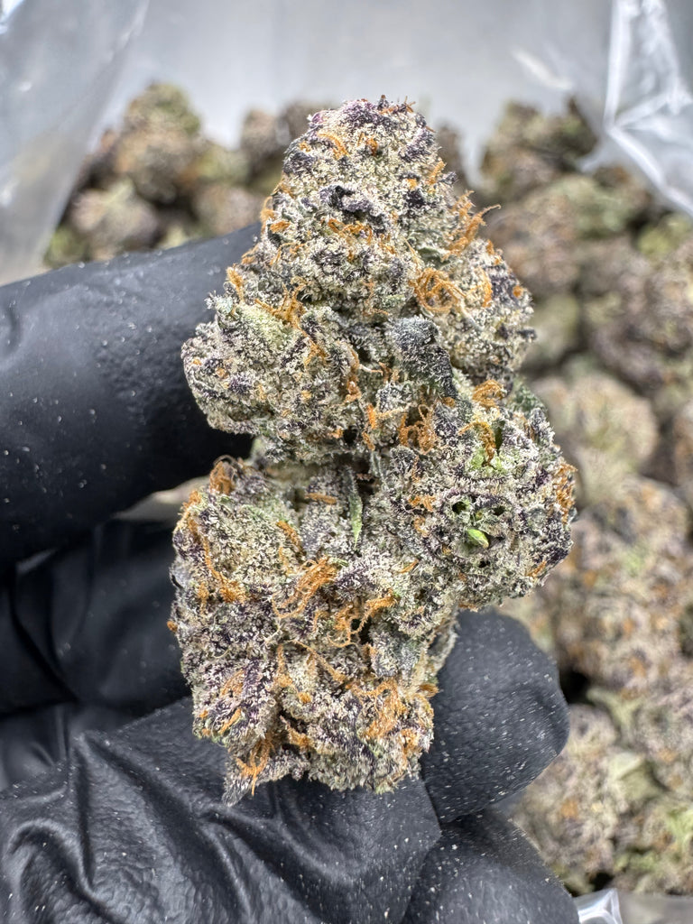 Gumbo - THCA BULK FLOWER - EXOTIC INDOOR SMALLS