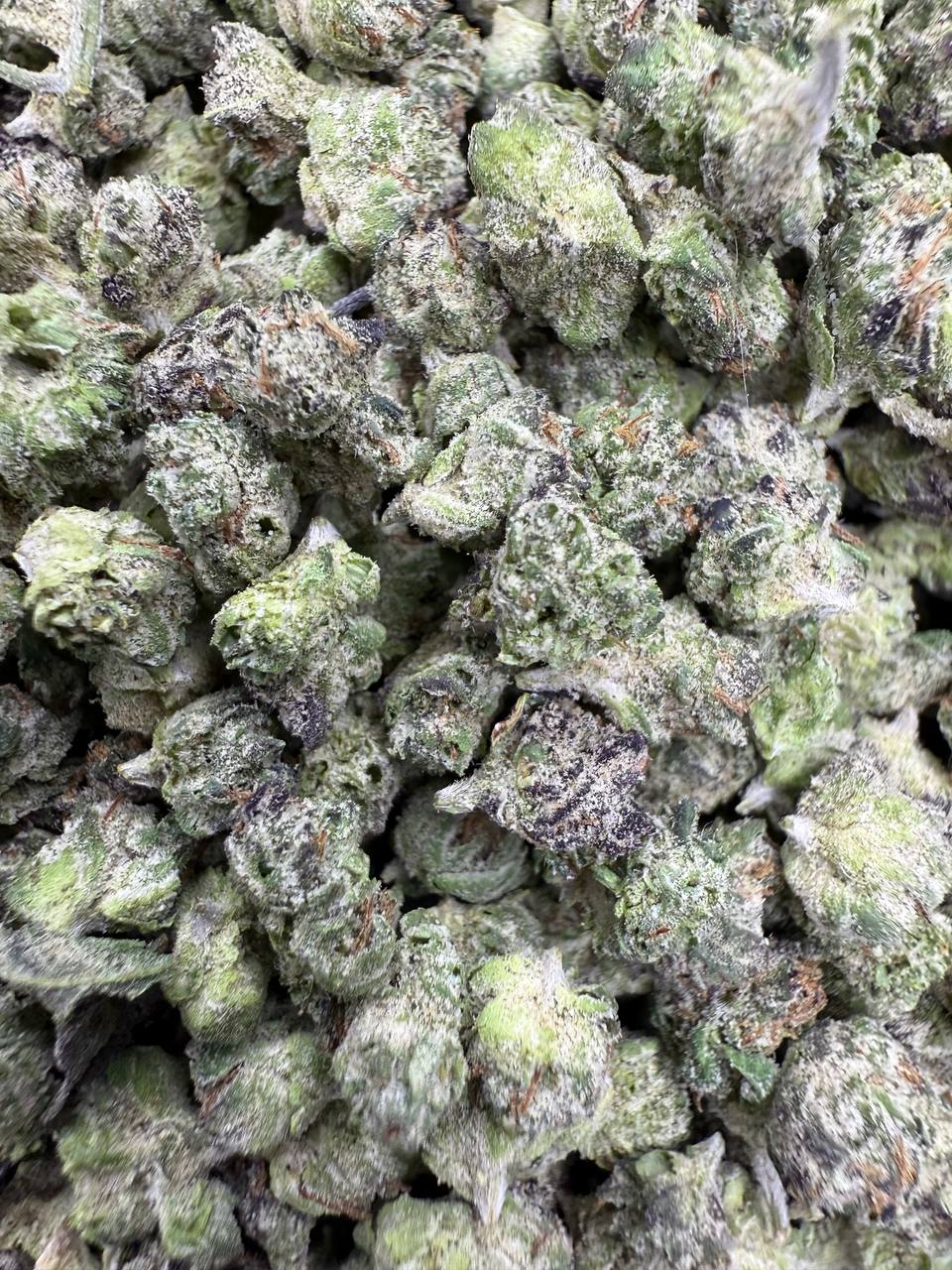 Gumbo - Gold Nuggets - THCa Flower Exotic MICROS