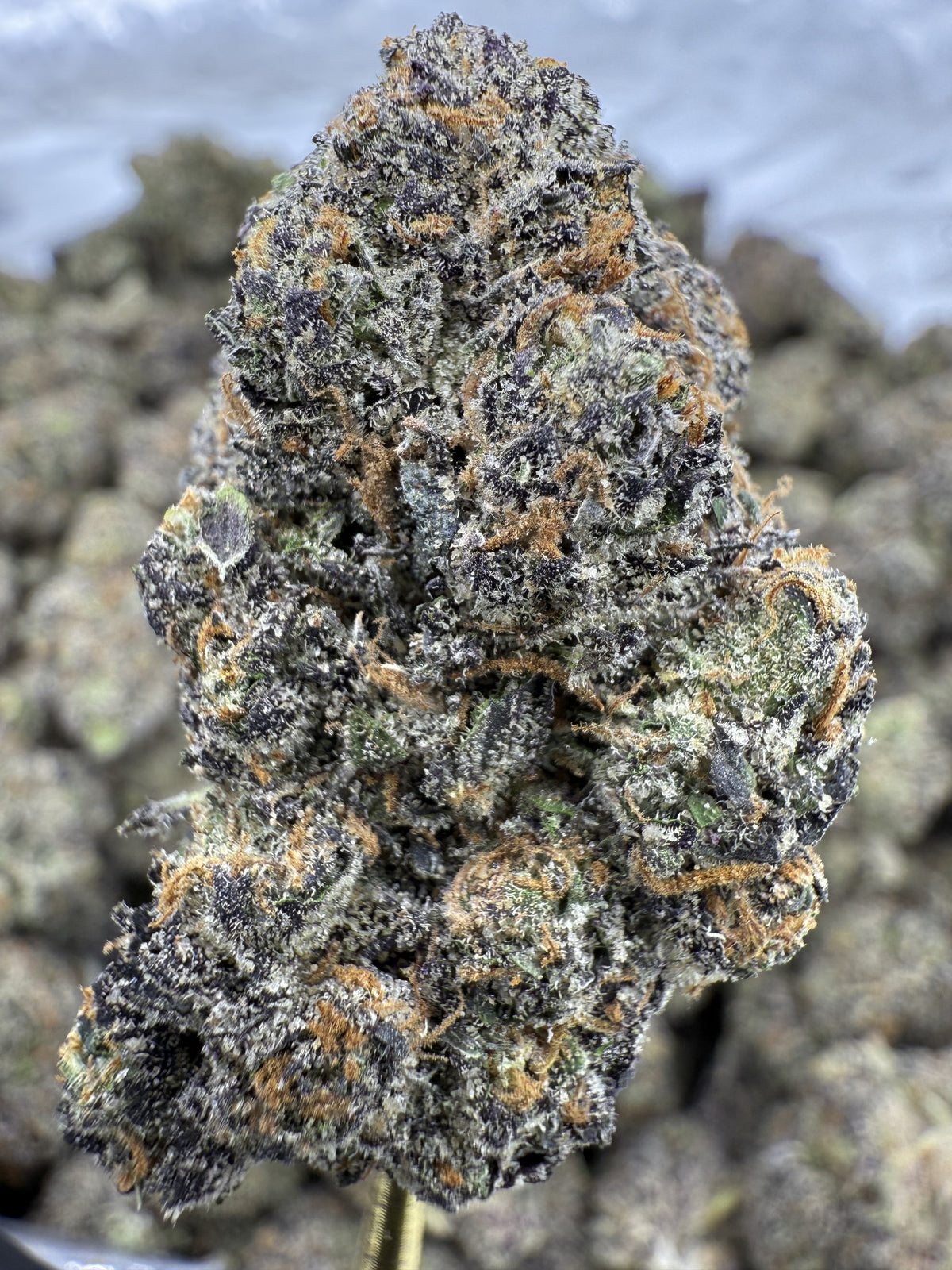 Gumbo - THCA Flower - Indoor Top Cut Exotic