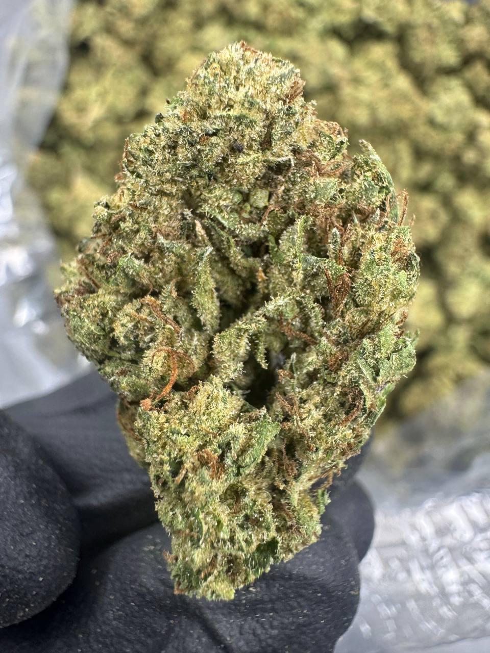 Gumbo - THCA BULK Flower - Sungrown