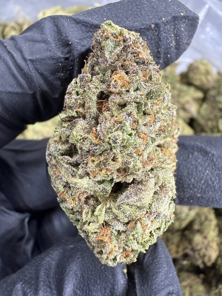 Gumbo - THCA BULK FLOWER - CLASSIC RESERVE