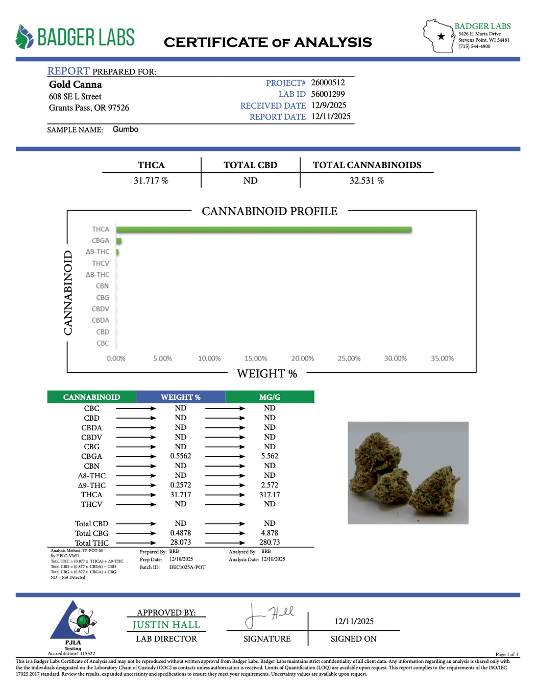 Gumbo - Gold Nuggets - THCa Flower Exotic SMALLS