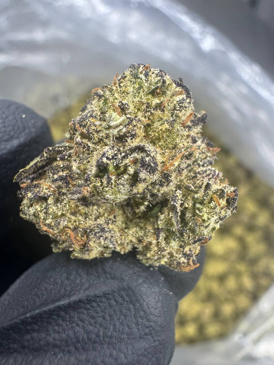 Gumbo - THCA BULK Flower - Indoor Smalls Exotic