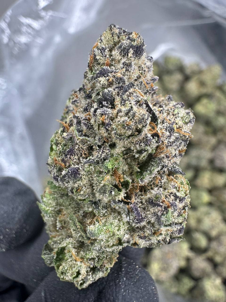 Gumbo - THCA BULK FLOWER - EXOTIC INDOOR