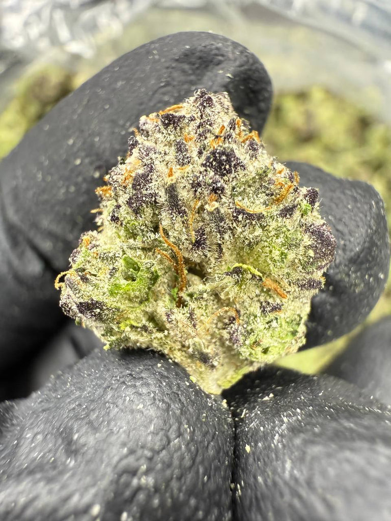 Gumbo - Gold Nuggets - THCa Flower Exotic SMALLS