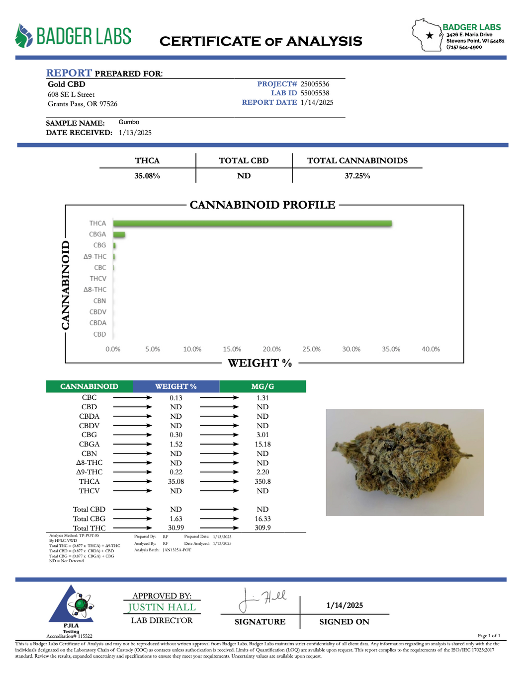 Gumbo - Gold Nuggets - THCa Flower Exotic SMALLS