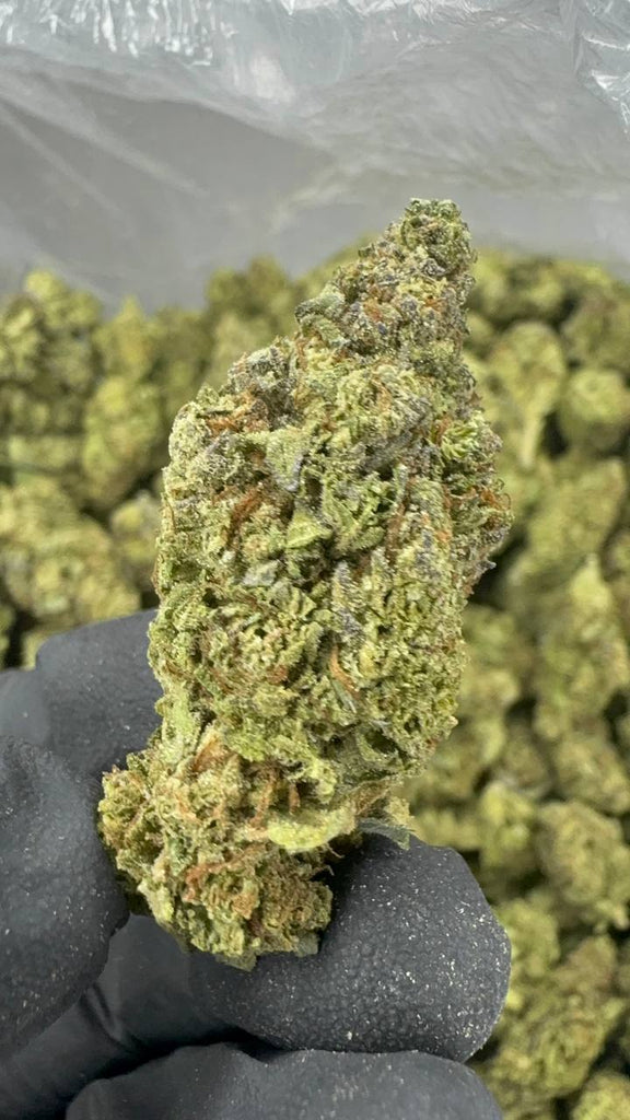 Gush Mintz - THCA BULK FLOWER - CLASSIC RESERVE