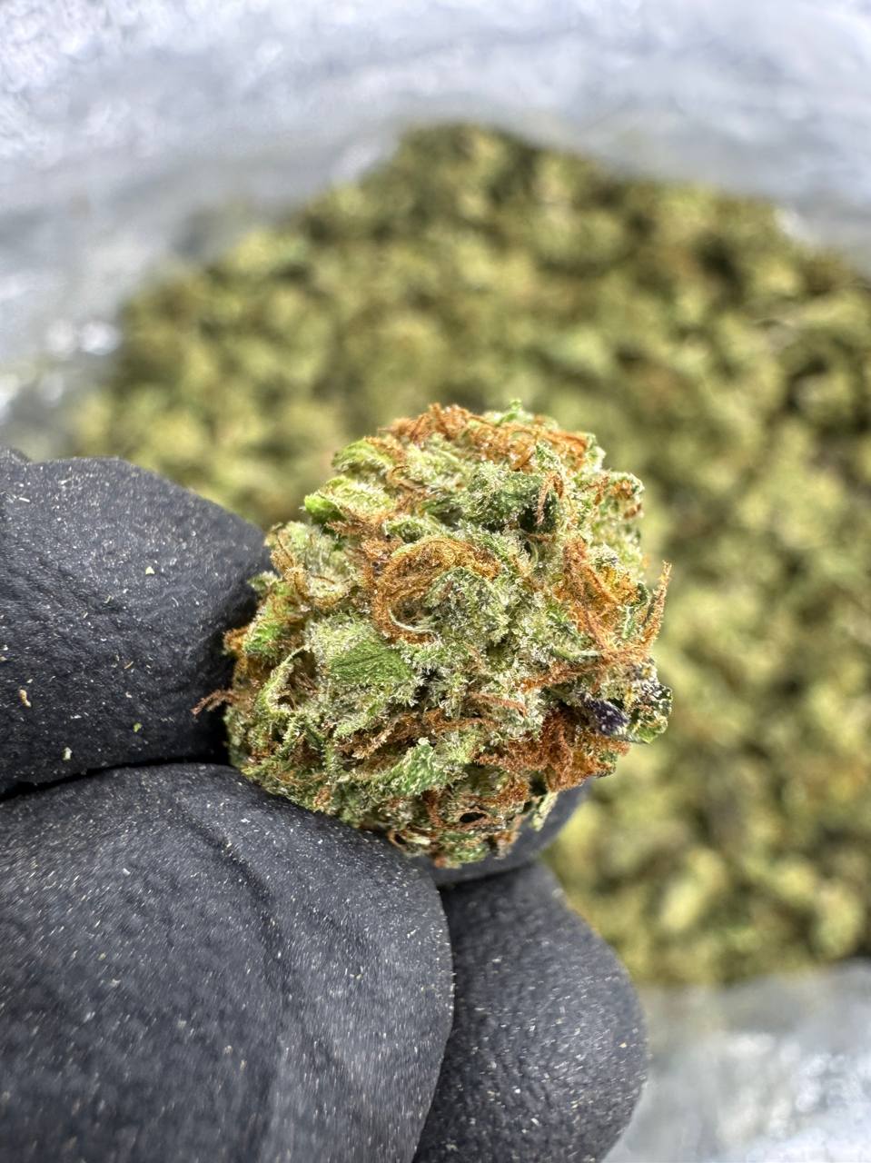 Gushers - Gold Nuggets - THCa Flower TOP SHELF SMALLS