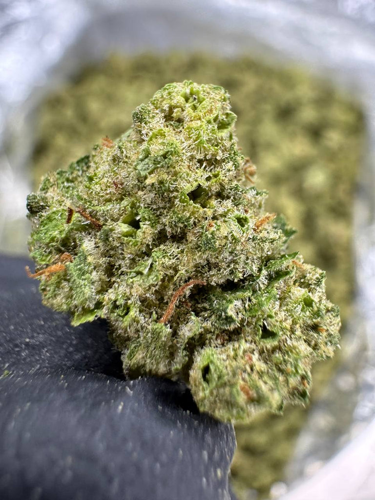 Gushers - Gold Nuggets - THCa Flower TOP SHELF SMALLS