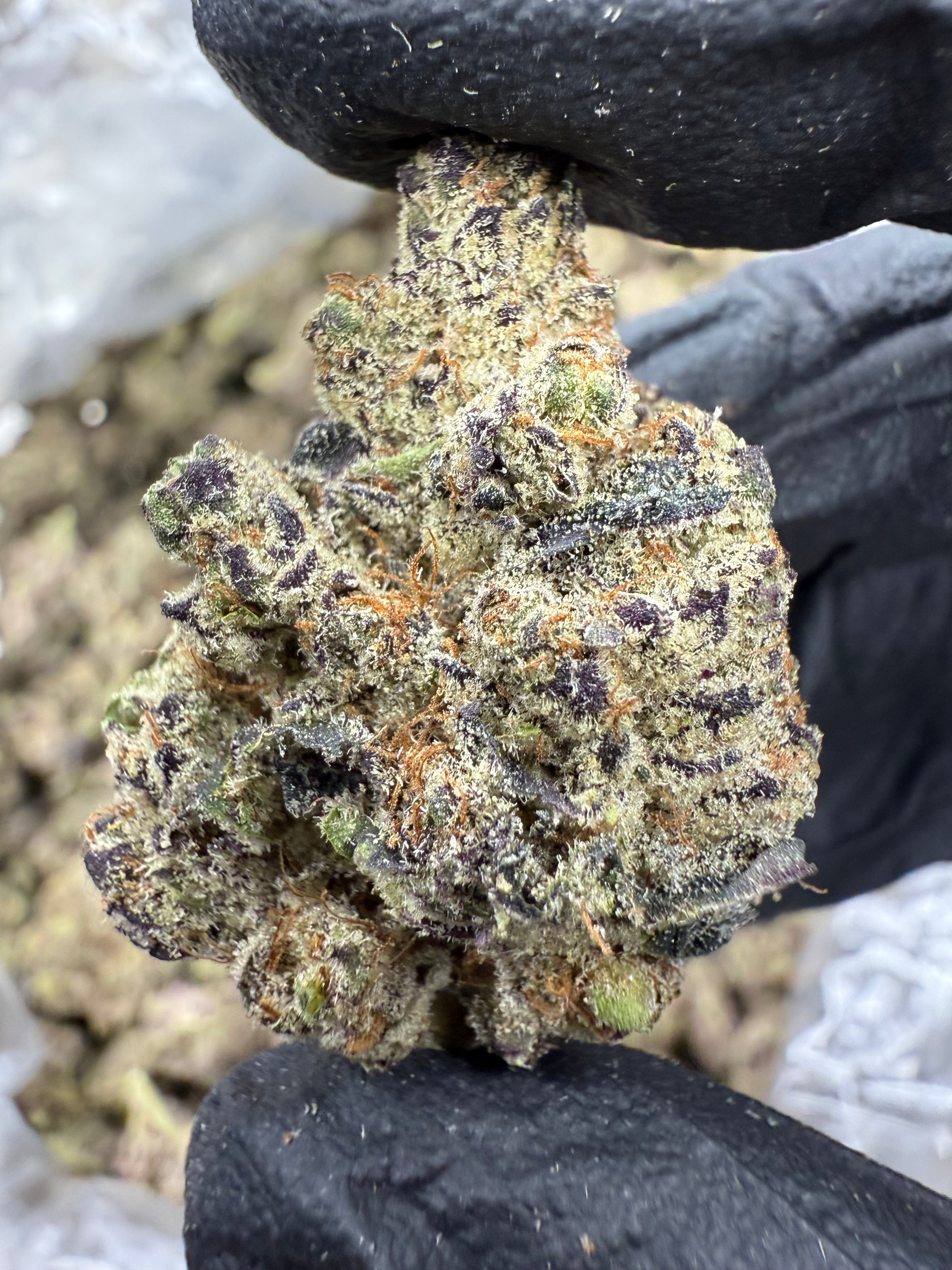 Hash Burger - THCA BULK Flower - Indoor Exotic